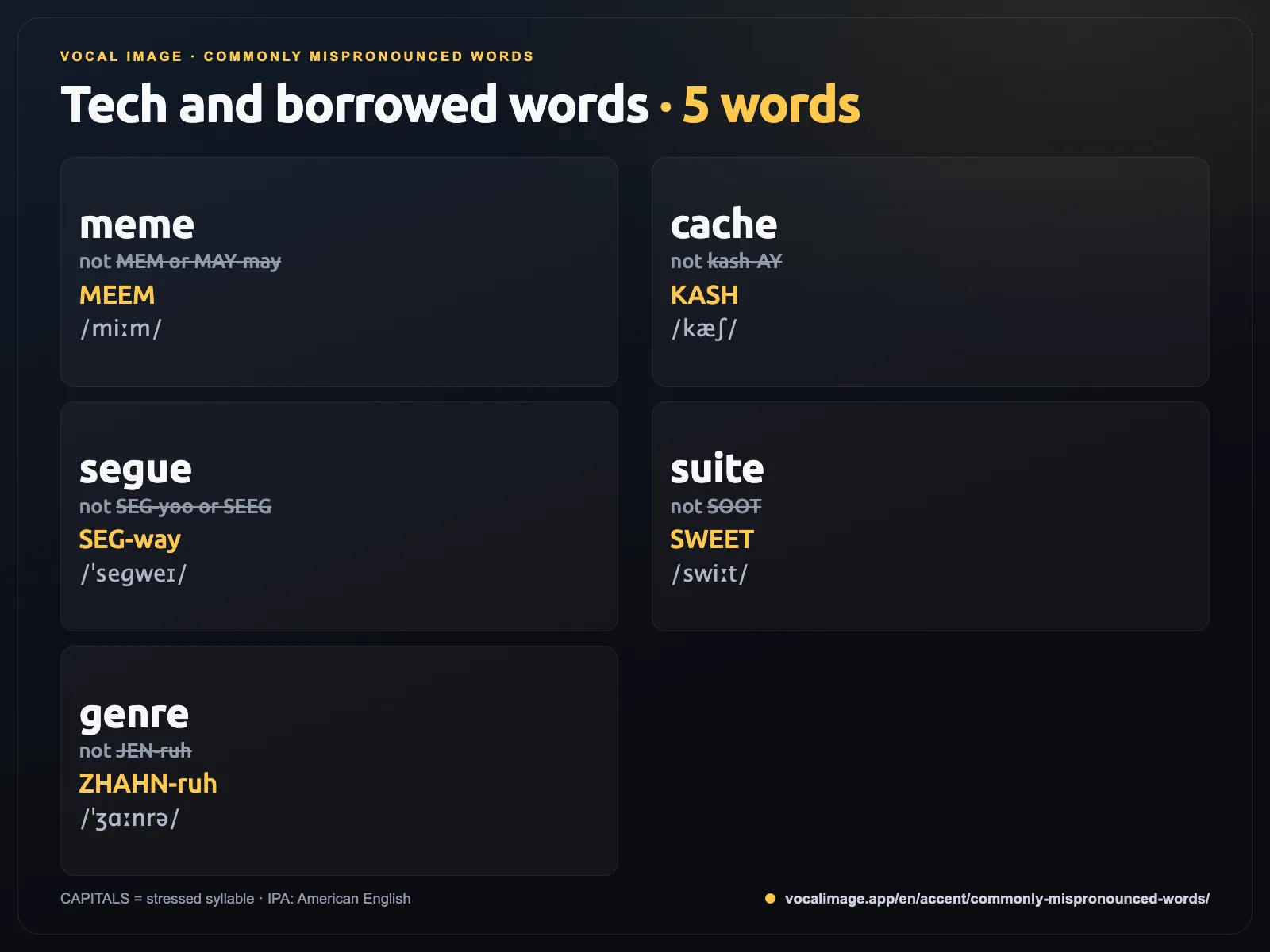 Mispronounced tech and borrowed words: meme, cache, segue, suite, genre